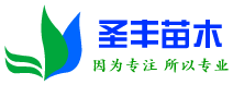 扶風(fēng)縣圣豐苗木繁育中心